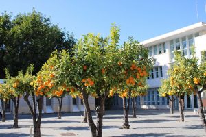 La UAL complementa la formación reglada con su programación de másteres propios y cursos de especialista y experto