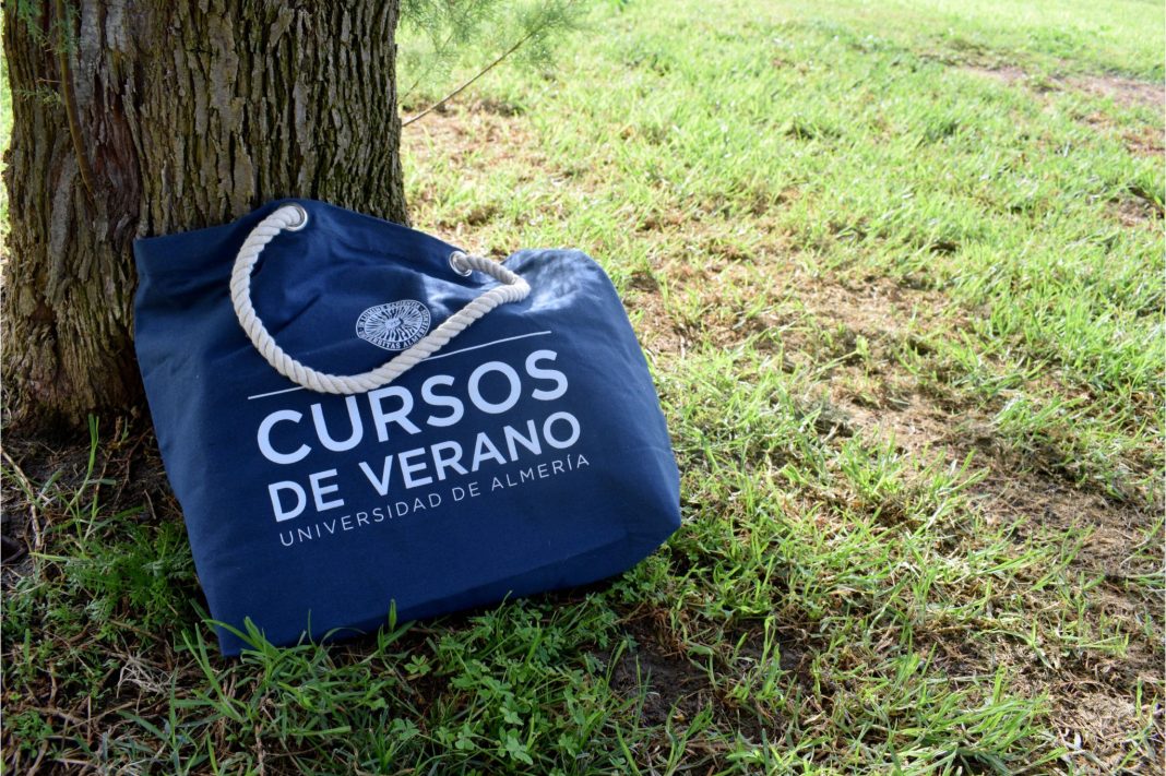 FOTO NOVIEMBRE 20 2024 NUEVA CONVOCATORIA CURSOS DE VERANO