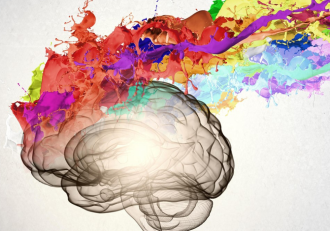 II Jornada de Innovación y Transferencia en Neuropsicología, Neurociencia Cognitiva y Sexología