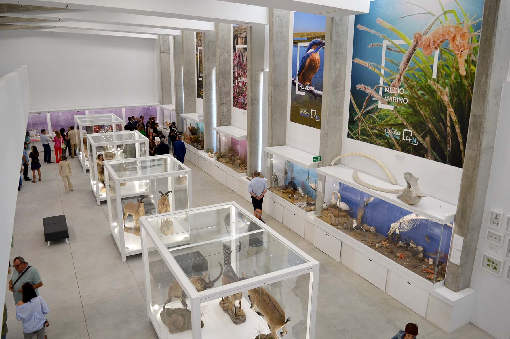 Acuerdo UAL-Aquila Clean Energy para impulsar la educación ambiental en el Pabellón de Historia Natural